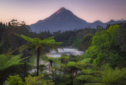 New Zealand 2025 (2 group) (58/84)